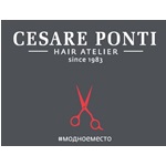 Компания "Cesare Ponti"