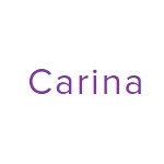Компания "Carina"