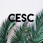 Компания "Cesc"