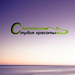 Компания "Chameleon"