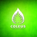 Компания "Coleus"