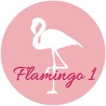 Компания "Фламинго"