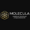 Компания "MOLECULA - студия лазерной эпиляции и косметологии"